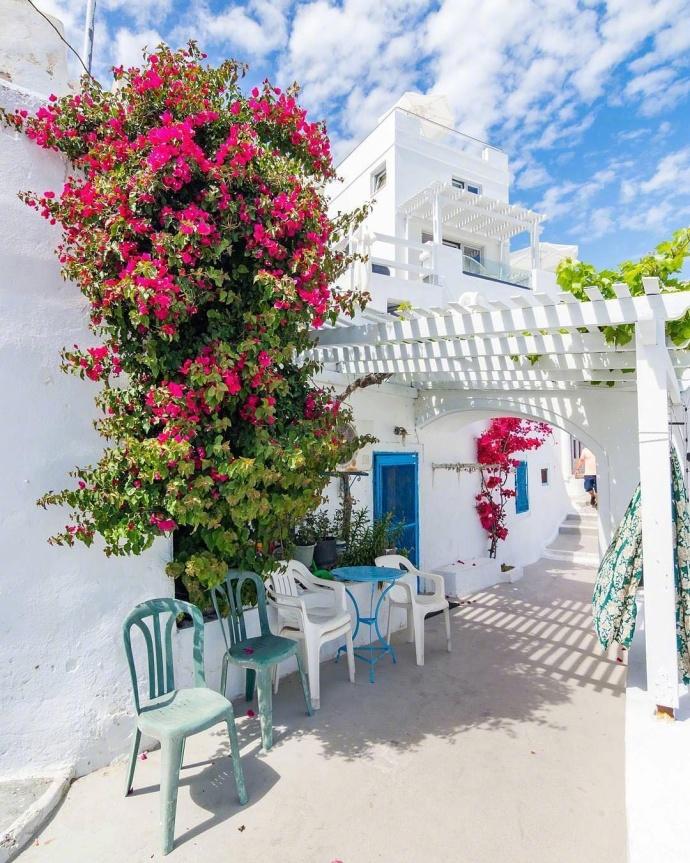 小狗怎么知道这趟路是长途还是短途的(图1)